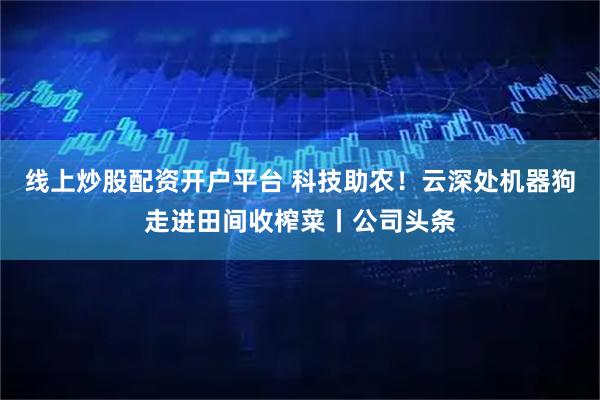 线上炒股配资开户平台 科技助农！云深处机器狗走进田间收榨菜丨公司头条
