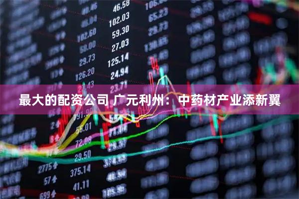 最大的配资公司 广元利州：中药材产业添新翼